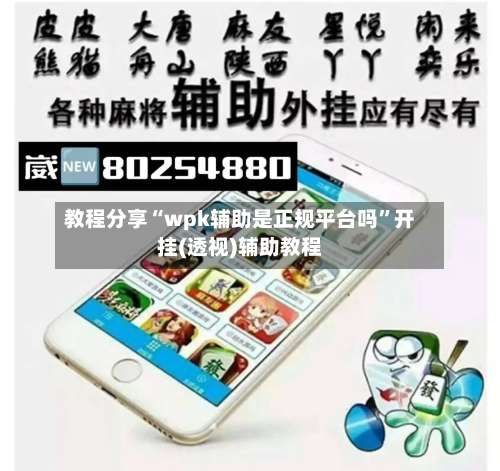 教程分享“wpk辅助是正规平台吗”开挂(透视)辅助教程-第1张图片