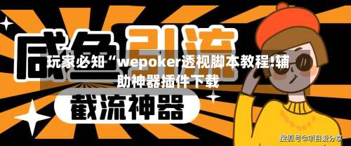 玩家必知“wepoker透视脚本教程!辅助神器插件下载-第1张图片