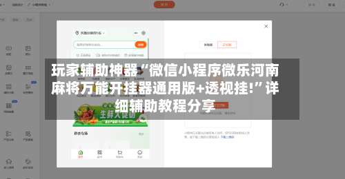 玩家辅助神器“微信小程序微乐河南麻将万能开挂器通用版+透视挂!”详细辅助教程分享-第1张图片