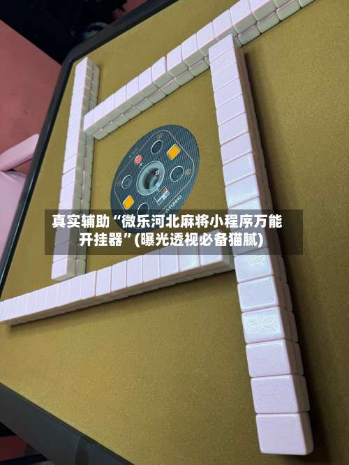 真实辅助“微乐河北麻将小程序万能开挂器”(曝光透视必备猫腻)-第1张图片