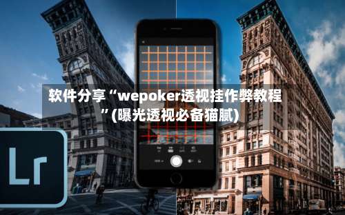 软件分享“wepoker透视挂作弊教程	”(曝光透视必备猫腻)-第1张图片