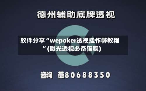 软件分享“wepoker透视挂作弊教程”(曝光透视必备猫腻)-第3张图片