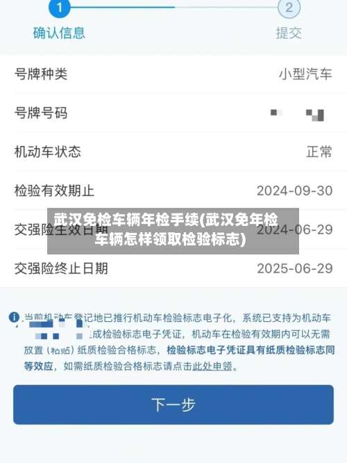 武汉免检车辆年检手续(武汉免年检车辆怎样领取检验标志)-第2张图片