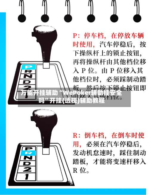 万能开挂辅助“WePoker辅助挂安全吗”开挂(透视)辅助教程-第2张图片