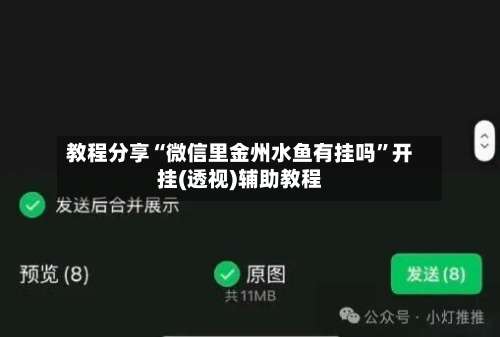 教程分享“微信里金州水鱼有挂吗	”开挂(透视)辅助教程-第1张图片