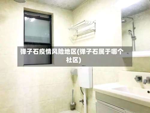 弹子石疫情风险地区(弹子石属于哪个社区)-第1张图片