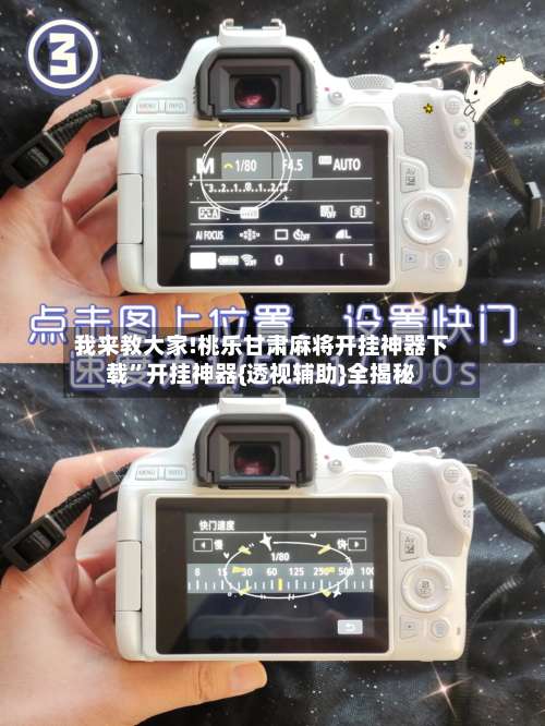 我来教大家!桃乐甘肃麻将开挂神器下载	”开挂神器{透视辅助}全揭秘-第1张图片