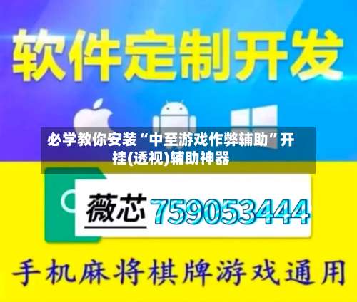 必学教你安装“中至游戏作弊辅助”开挂(透视)辅助神器-第3张图片