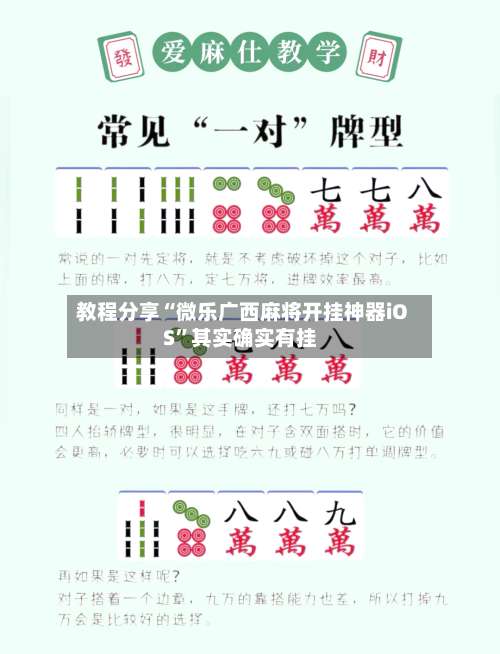 教程分享“微乐广西麻将开挂神器iOS”其实确实有挂-第1张图片