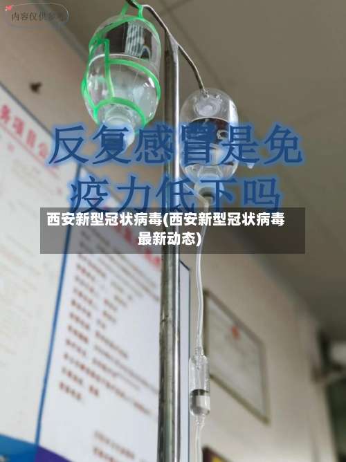 西安新型冠状病毒(西安新型冠状病毒最新动态)-第2张图片