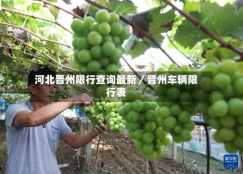 河北晋州限行查询最新／晋州车辆限行表-第1张图片