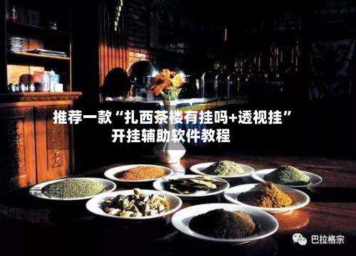 推荐一款“扎西茶楼有挂吗+透视挂”开挂辅助软件教程-第1张图片