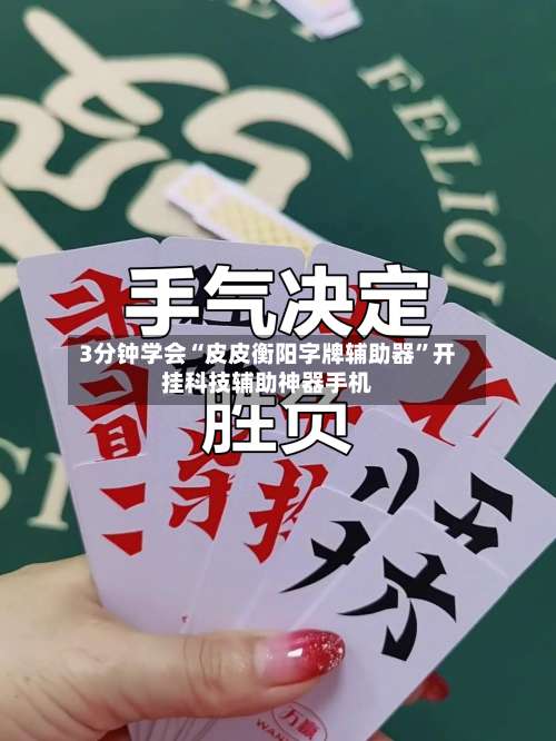 3分钟学会“皮皮衡阳字牌辅助器”开挂科技辅助神器手机-第2张图片