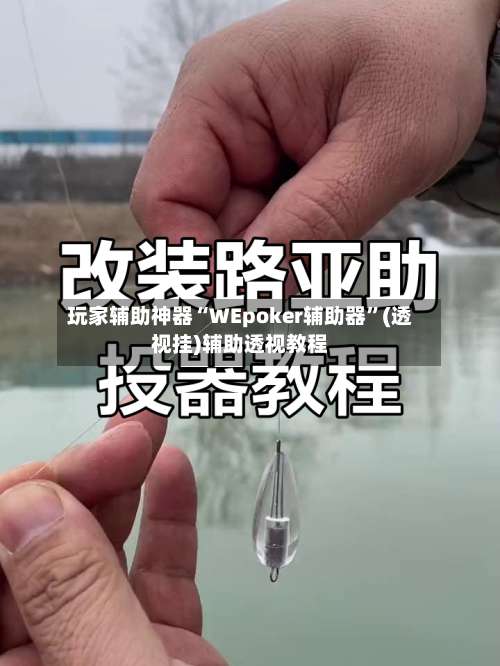 玩家辅助神器“WEpoker辅助器	”(透视挂)辅助透视教程-第2张图片