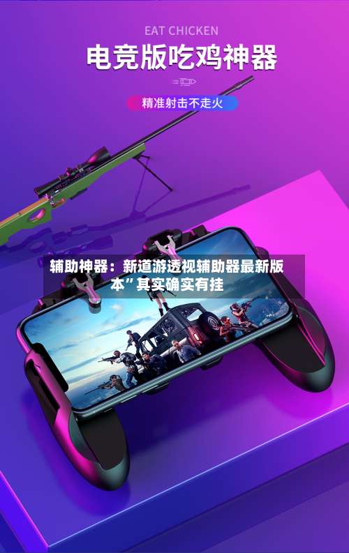 辅助神器：新道游透视辅助器最新版本”其实确实有挂-第1张图片