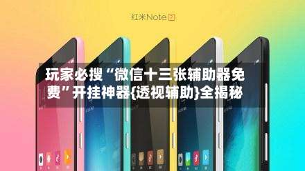 玩家必搜“微信十三张辅助器免费”开挂神器{透视辅助}全揭秘-第1张图片