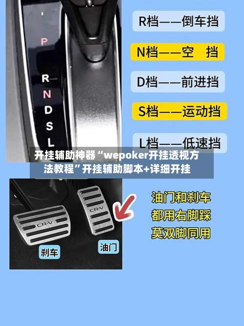 开挂辅助神器“wepoker开挂透视方法教程”开挂辅助脚本+详细开挂-第1张图片