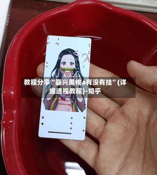 教程分享“嘉兴黑桃a有没有挂	”(详细透视教程)-知乎-第1张图片