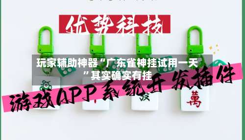 玩家辅助神器“广东雀神挂试用一天”其实确实有挂-第2张图片