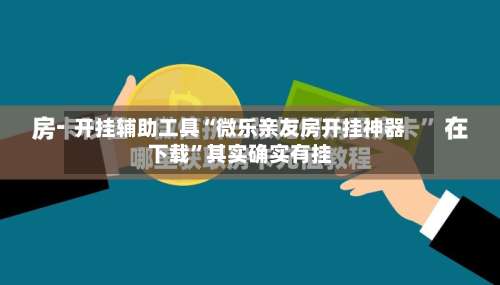 开挂辅助工具“微乐亲友房开挂神器下载”其实确实有挂-第2张图片