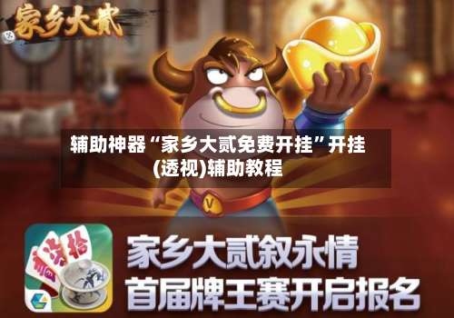 辅助神器“家乡大贰免费开挂”开挂(透视)辅助教程-第1张图片