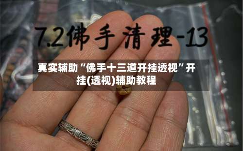 真实辅助“佛手十三道开挂透视”开挂(透视)辅助教程-第3张图片