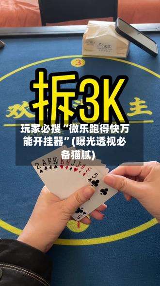 玩家必搜“微乐跑得快万能开挂器”(曝光透视必备猫腻)-第3张图片