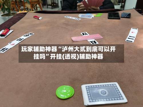 玩家辅助神器“泸州大贰到底可以开挂吗”开挂(透视)辅助神器-第1张图片