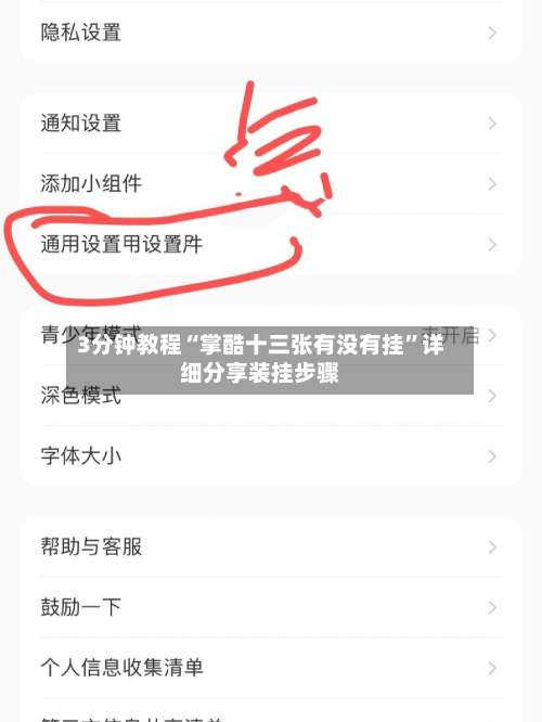 3分钟教程“掌酷十三张有没有挂	”详细分享装挂步骤-第1张图片