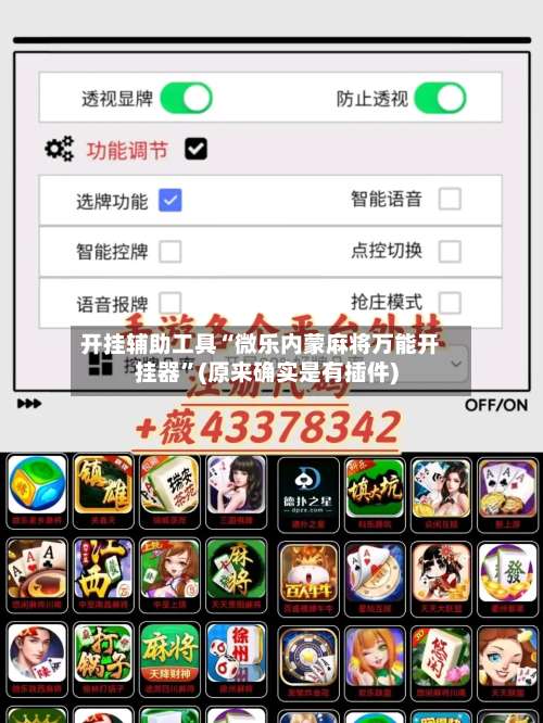 开挂辅助工具“微乐内蒙麻将万能开挂器”(原来确实是有插件)-第1张图片