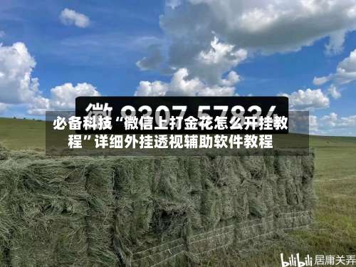 必备科技“微信上打金花怎么开挂教程	”详细外挂透视辅助软件教程-第2张图片