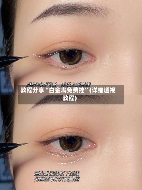 教程分享“白金岛免费挂”(详细透视教程)-第1张图片