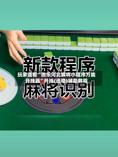 玩家速看“微乐河北麻将小程序万能开挂器	”开挂(透视)辅助教程-第2张图片