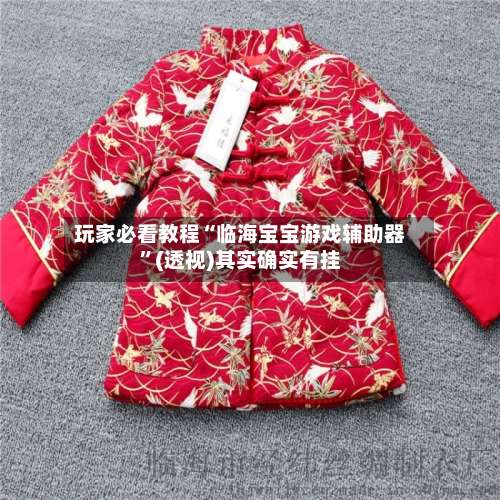 玩家必看教程“临海宝宝游戏辅助器”(透视)其实确实有挂-第1张图片