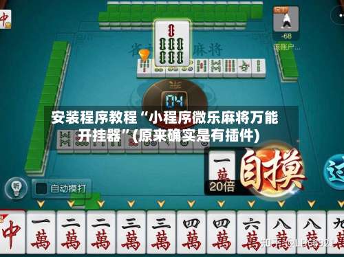安装程序教程“小程序微乐麻将万能开挂器”(原来确实是有插件)-第1张图片
