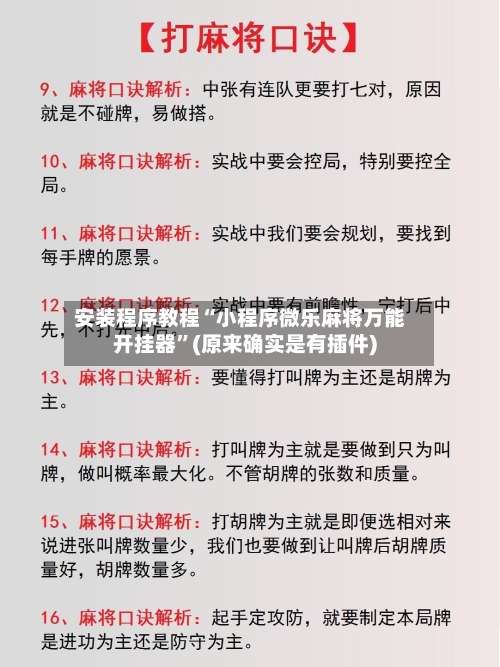安装程序教程“小程序微乐麻将万能开挂器	”(原来确实是有插件)-第2张图片