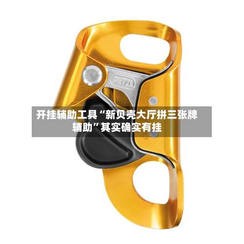 开挂辅助工具“新贝壳大厅拼三张牌辅助”其实确实有挂-第3张图片