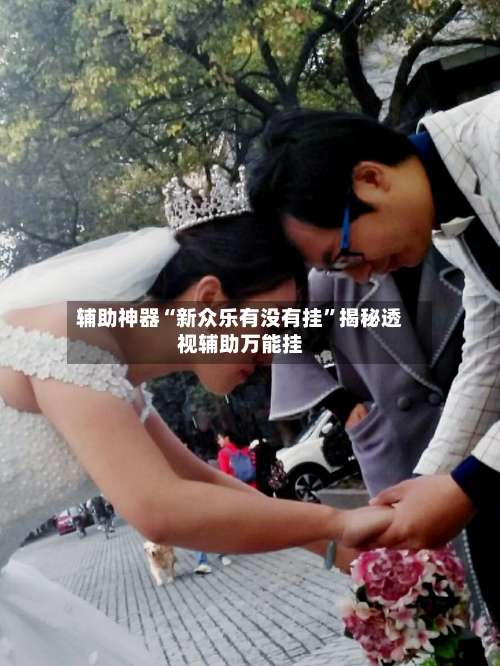 辅助神器“新众乐有没有挂”揭秘透视辅助万能挂-第1张图片