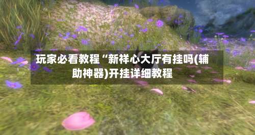 玩家必看教程“新祥心大厅有挂吗(辅助神器)开挂详细教程-第2张图片