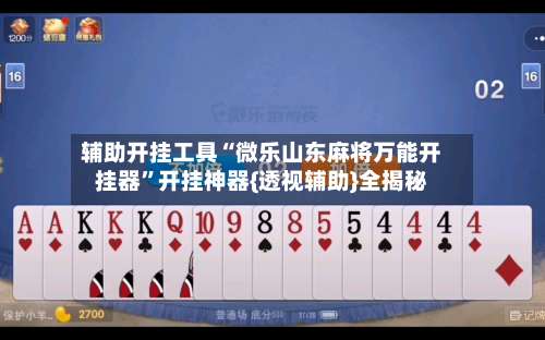 辅助开挂工具“微乐山东麻将万能开挂器”开挂神器{透视辅助}全揭秘-第3张图片
