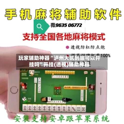 玩家辅助神器“泸州大贰到底可以开挂吗	”开挂(透视)辅助神器-第2张图片