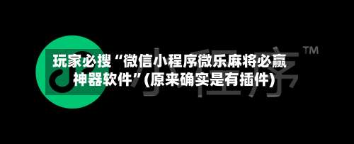 玩家必搜“微信小程序微乐麻将必赢神器软件	”(原来确实是有插件)-第1张图片