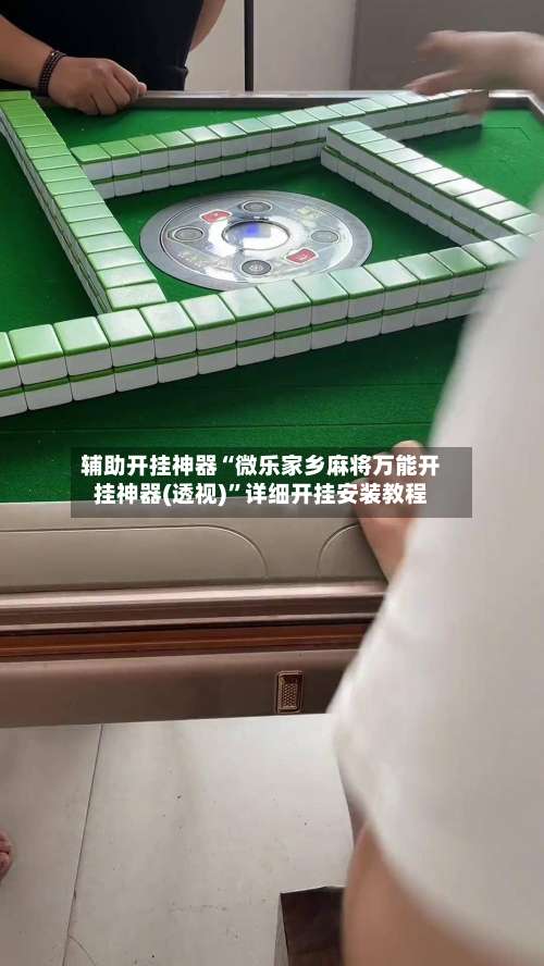 辅助开挂神器“微乐家乡麻将万能开挂神器(透视)”详细开挂安装教程-第3张图片