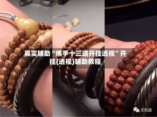 真实辅助“佛手十三道开挂透视”开挂(透视)辅助教程-第1张图片