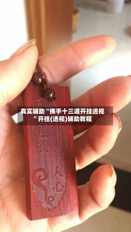 真实辅助“佛手十三道开挂透视	”开挂(透视)辅助教程-第2张图片