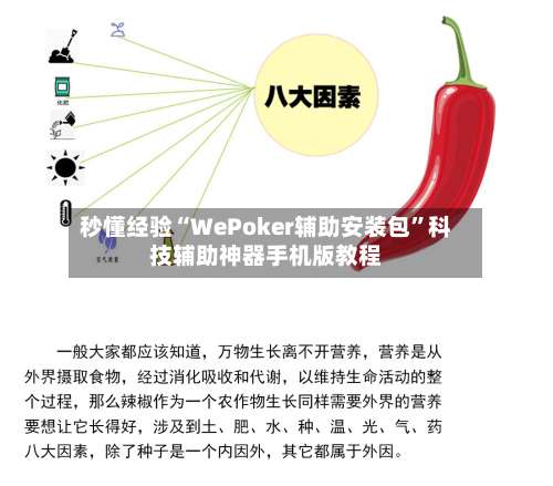 秒懂经验“WePoker辅助安装包”科技辅助神器手机版教程-第2张图片