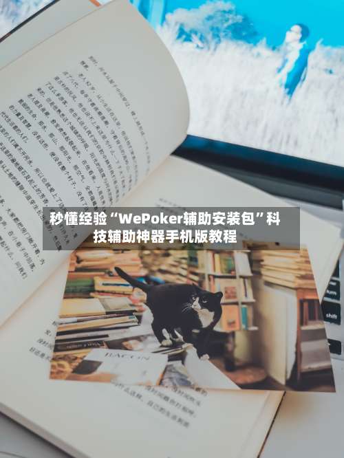 秒懂经验“WePoker辅助安装包	”科技辅助神器手机版教程-第3张图片