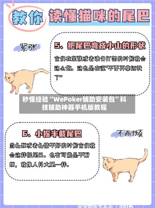 秒懂经验“WePoker辅助安装包”科技辅助神器手机版教程-第1张图片