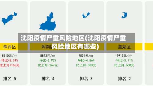 沈阳疫情严重风险地区(沈阳疫情严重风险地区有哪些)-第3张图片