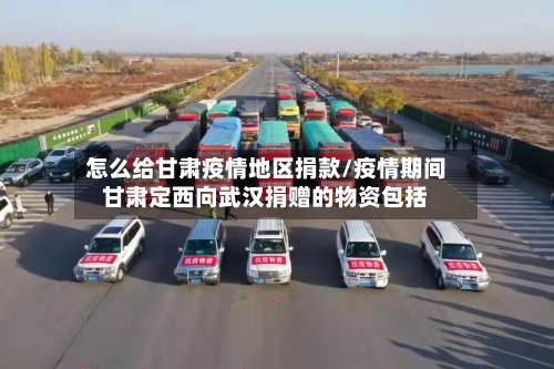 怎么给甘肃疫情地区捐款/疫情期间甘肃定西向武汉捐赠的物资包括-第1张图片